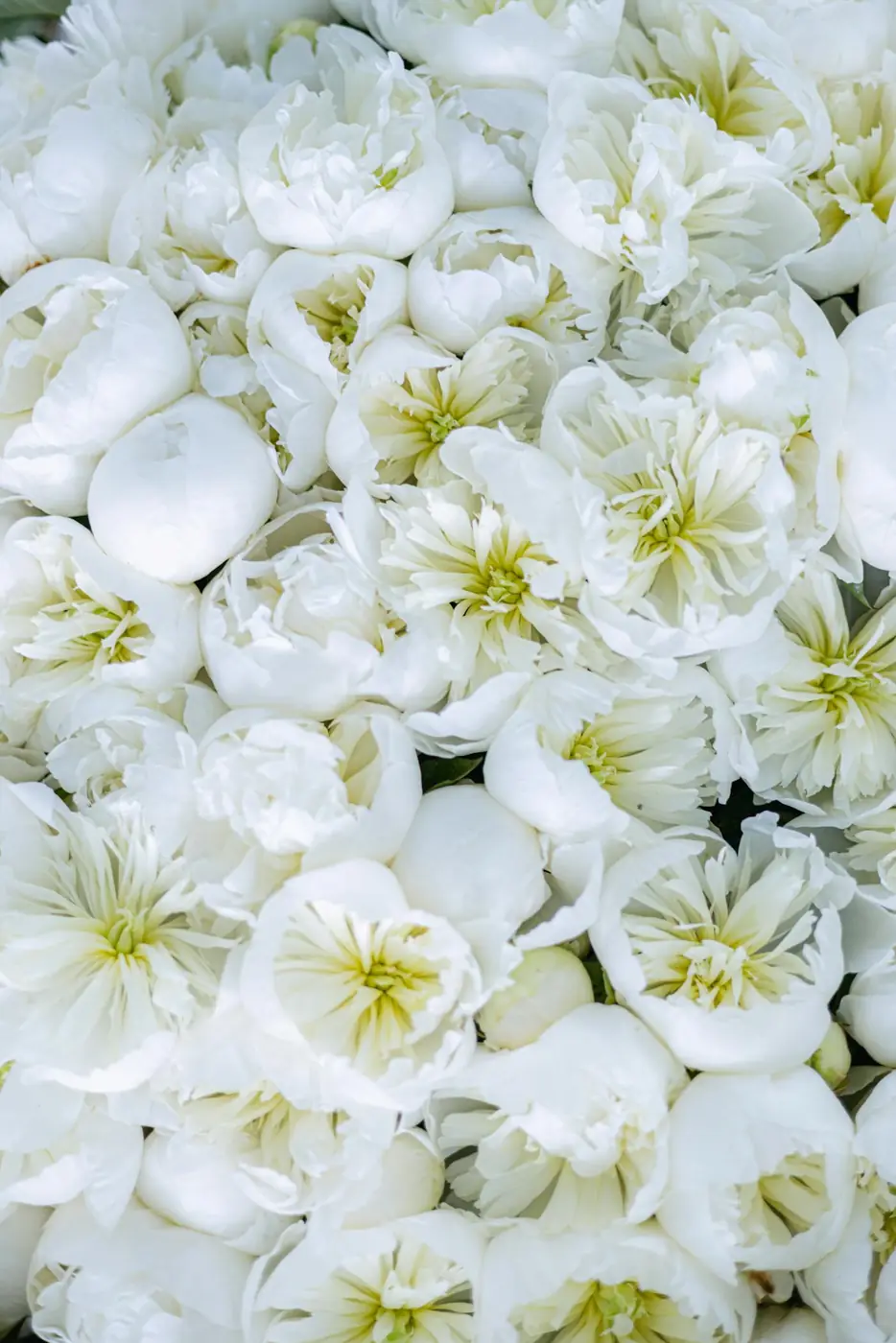 Atelier toulousain — composition florale funéraire à la main